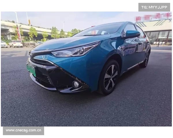 一牌难求,竞价又太贵?这些问题雷凌双擎E+通通帮你解决