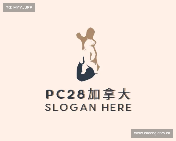 关于pc28加拿大